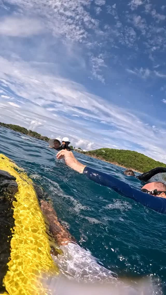 There are moments that feel almost unreal.

Sometimes, curious dolphins choose to join the journey, transforming a beautiful ride into a moment you’ll remember forever.

#SEABOB #waterscooter #myachthome #yachtlife #dolphinswimming