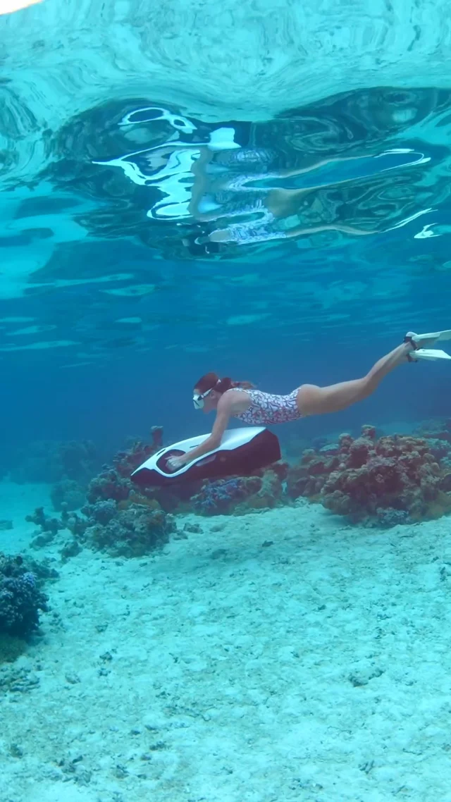 The beauty of the ocean is best experienced when you become part of it. 

The SEABOB F9 makes every dive feel natural, calm and unforgettable.

@timmckenna  @pauline_l_m 

#SEABOB #waterscooter #watertoys